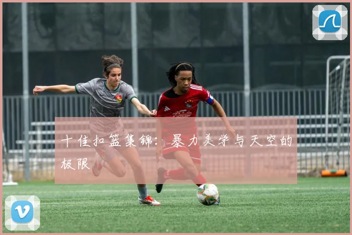 十佳扣篮集锦：暴力美学与天空的极限