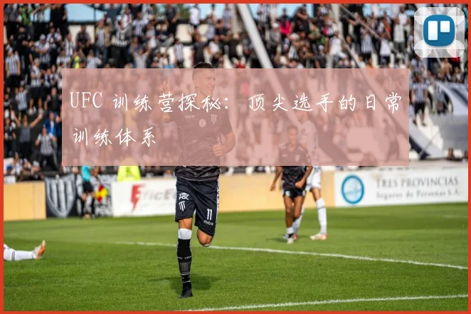 UFC 训练营探秘：顶尖选手的日常训练体系