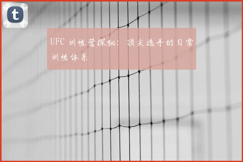 UFC 训练营探秘:顶尖选手的日常训练体系